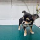 지산2동 치안센터 이미지