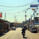 서울가축인공수정소 이미지