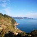 수산물횟집