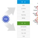 한국RMS