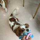 아이조아 요양보호소 서울점 이미지