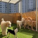 멍블랑 유치원 이미지