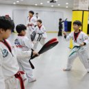 용인대 안산 타이거즈 태권도장 이미지