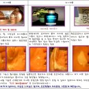 폴헤어센스
