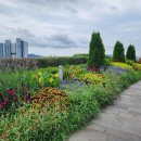 안경정원 이미지