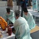 명품진영단감
