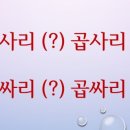 곱싸리