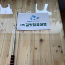 ✈️ "가이드님 어디 계세요?" 이젠 그만! 우리 팀의 위치를 밝혀줄 인싸템, 여행 깃발! 🚩