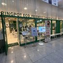 담아 | 마곡역 근처 샤브샤브 맛집 "봄담아" 내돈내산 후기