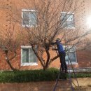 전남과학고등학교 이미지