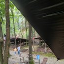 계명산나무숲길캠핑장 이미지