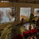 4451 | 카페 대너리스 추천 남양주 맛집 휴무일 주차 정보