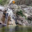 더사랑의원 이미지