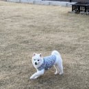 스테이포레스트