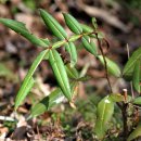 개산초등학교 이미지