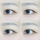 소프트벨 이미지