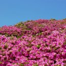 백양산 애진봉 이미지