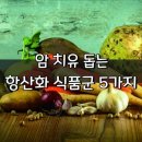 9월25일 뉴스브리핑 이미지