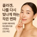 도테라 이미지
