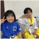 대호태권도체육관 이미지