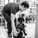 박동물병원 이미지