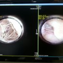 노엘동물병원 이미지