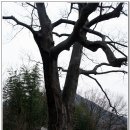 운호목장 | 지리산길 4번째구간 금계~운서마을