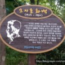 지호로1 Daum카페
