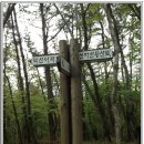 장진주유소 이미지