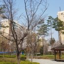 압구정-121 이미지