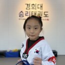 경희대 승리 태권도장 이미지
