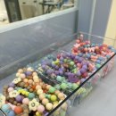 멜로우퍼피 이미지