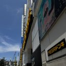 FLORA | 일본 돈키호테 추천템 치약타블릿 구취케어 엠엠플로라 mm flora