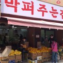 야채.청과 이미지