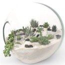 테라리움 이미지