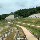 FOREST공인중개사사무소 매일경제