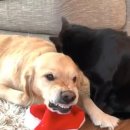 그루밍스토리 이미지