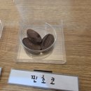 (주)에스닷 | 대구 신천시장 아이스크림 | 문라또 | 은은한 비주얼에 재료 본연의 맛을 살린 쫀득한 젤라또 맛집 후기