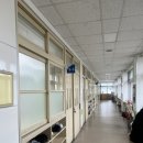 생명초등학교 | [광주 꽃집 유에스유엔 | 순천 조례초등학교, 원예체험 수업 후기