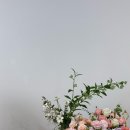 메종드 헤브 | 경북도청 신도시 브라이덜 샤워 메종드헤브 방문 후기 ✨🤓