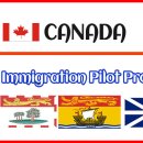 아틀란틱 이민 파일럿 프로그램 (Atlantic Immigration Pilot Program) 이미지