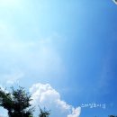 폭탄불오뎅김밥 이미지