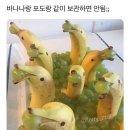 바나나랑 포도랑 같이보관하면 안됨 이미지