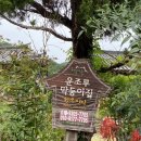 운조루 막둥이집 | [구례 숙소] “운조루 막둥이집” 한옥 민박 내돈내산 후기