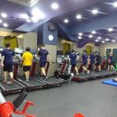 타이거짐 이미지