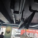 바른정육점 이미지