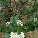 송암농원 이미지