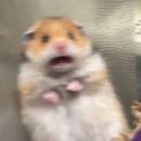 (5월) 고혈압 건강교실 『영양』 | 혈액순환