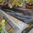 아침농장 이미지