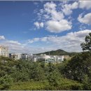 늠내길 1코스 숲길 이미지